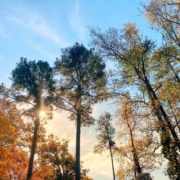 Meet the posher! - Picture 1 of 1